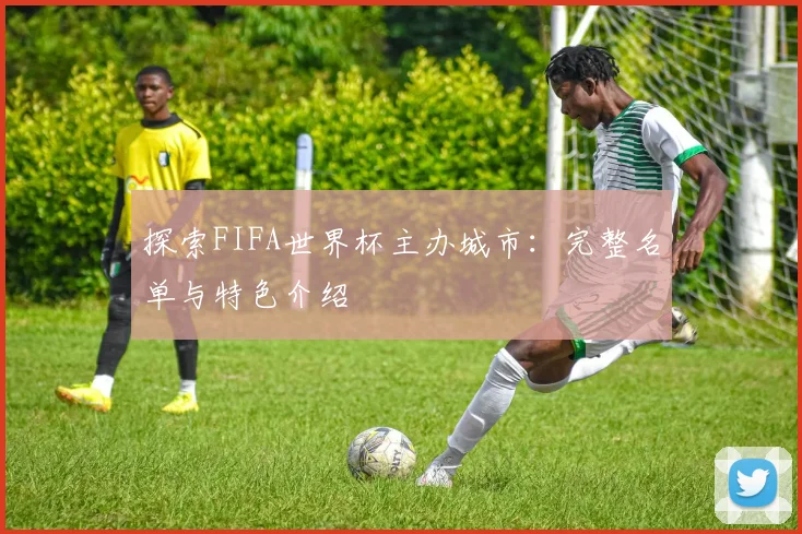探索FIFA世界杯主办城市:完整名单与特色介绍